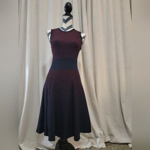 Ann Taylor Sweater Dress